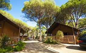 Im Pinienwald liegen schattig die Glamping-Zelte